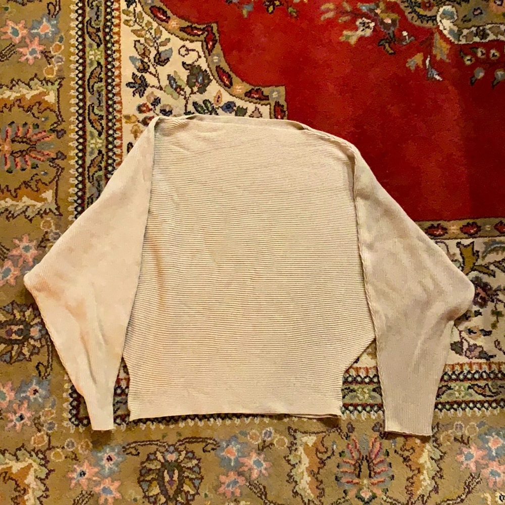 Simple beige sweater. Worn once.